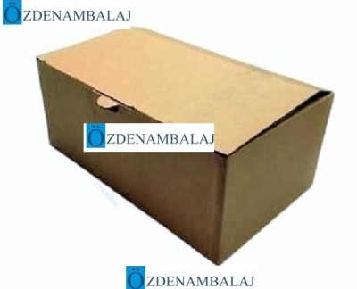 20*12*8 CM MUKAVVA KOLİ - 3