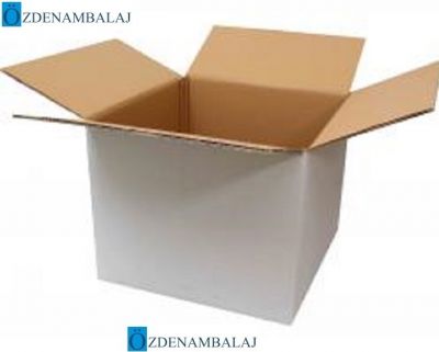 45*44*36 CM ÇİFT OLUKLU BEYAZ KOLİ - 1