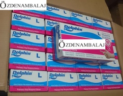 DOLPHİN VİNYL ELDİVEN PUDRASIZ ( L ) - 3