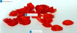 GÜL YAPRAĞI PAKETİ - 3