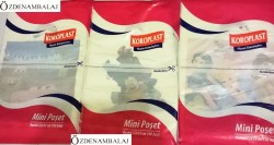 KOROPLAST MİNİ POŞET 22*33 CM RESİMLİ - 2