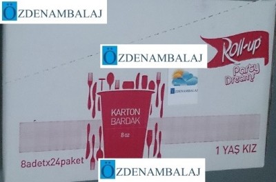 ROLL-UP PARTY DREAMS KARTON BARDAK İLK YAŞ PARTİM KIZ 8'Lİ - 5