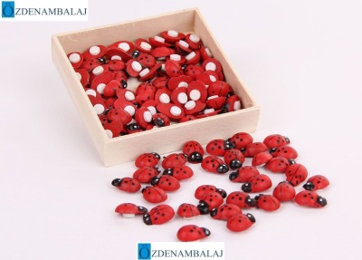 UĞUR BÖCEĞİ 100'LÜ PAKET - 1