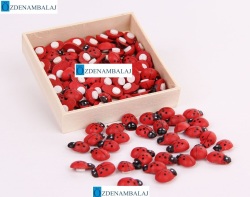 UĞUR BÖCEĞİ 100'LÜ PAKET - 3