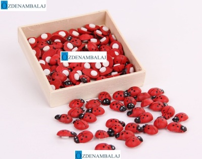 UĞUR BÖCEĞİ 100'LÜ PAKET - 3